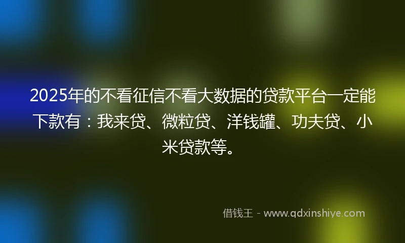 2025年的不看征信不看大数据的贷款平台一定能下款有：我来贷、微粒贷、洋钱罐、功夫贷、小米贷款等。