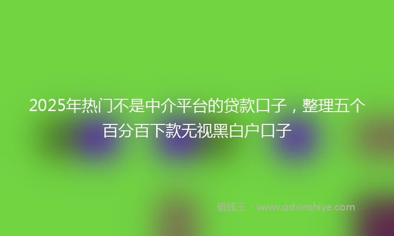 2025年热门不是中介平台的贷款口子，整理五个百分百下款无视黑白户口子
