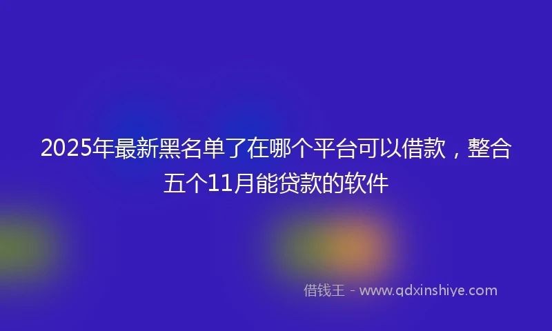 2025年最新黑名单了在哪个平台可以借款，整合五个11月能贷款的软件