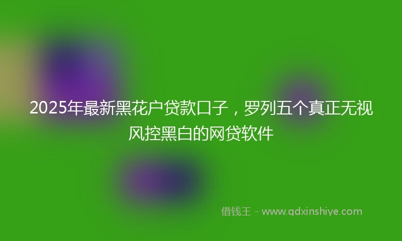 2025年最新黑花户贷款口子，罗列五个真正无视风控黑白的网贷软件