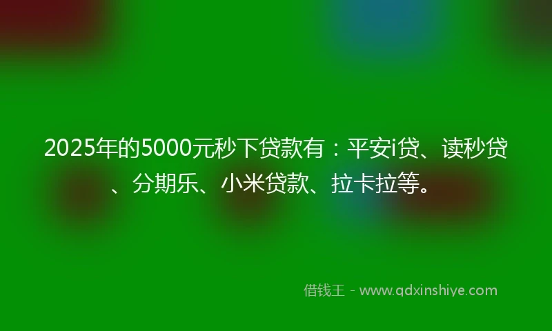 2025年的5000元秒下贷款有：平安i贷、读秒贷、分期乐、小米贷款、拉卡拉等。