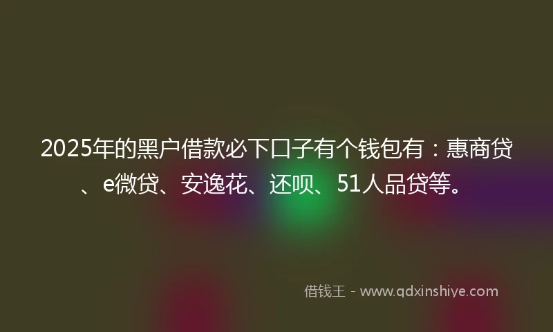 2025年的黑户借款必下口子有个钱包有：惠商贷、e微贷、安逸花、还呗、51人品贷等。
