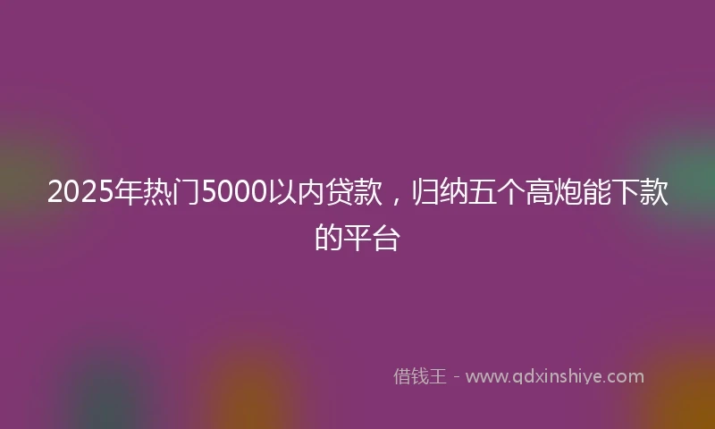 2025年热门5000以内贷款，归纳五个高炮能下款的平台