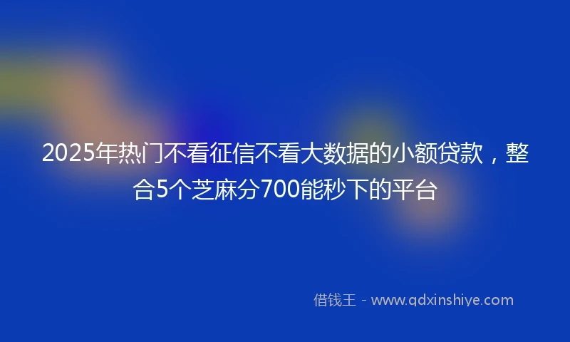 2025年热门不看征信不看大数据的小额贷款，整合5个芝麻分700能秒下的平台