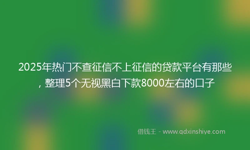 2025年热门不查征信不上征信的贷款平台有那些，整理5个无视黑白下款8000左右的口子