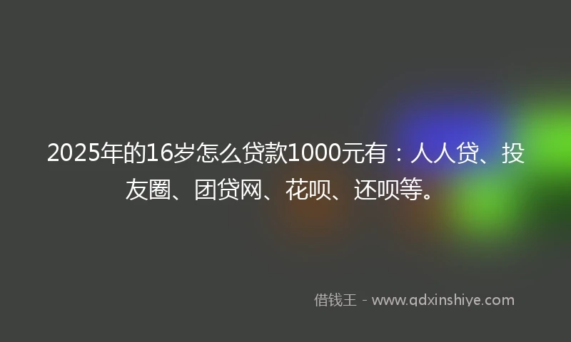 2025年的16岁怎么贷款1000元有：人人贷、投友圈、团贷网、花呗、还呗等。