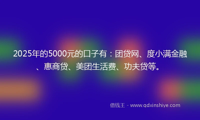 2025年的5000元的口子有：团贷网、度小满金融、惠商贷、美团生活费、功夫贷等。