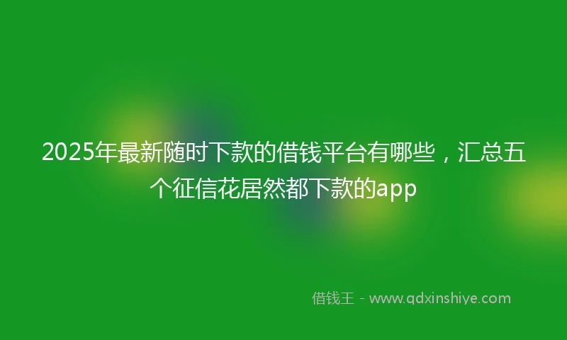 2025年最新随时下款的借钱平台有哪些，汇总五个征信花居然都下款的app