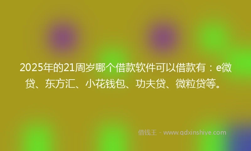 2025年的21周岁哪个借款软件可以借款有：e微贷、东方汇、小花钱包、功夫贷、微粒贷等。