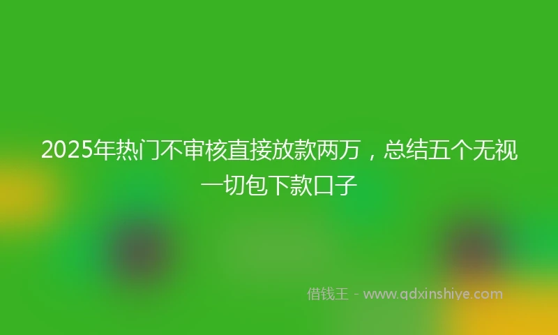 2025年热门不审核直接放款两万,总结五个无视一切包下款口子