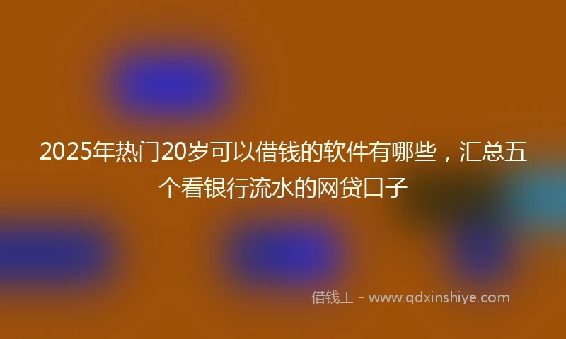 2025年热门20岁可以借钱的软件有哪些，汇总五个看银行流水的网贷口子