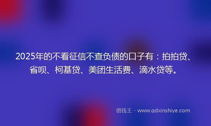 2025年的不看征信不查负债的口子有：拍拍贷、省呗、柯基贷、美团生活费、滴水贷等。
