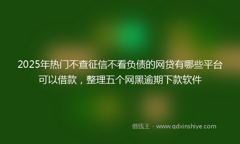 2025年热门不查征信不看负债的网贷有哪些平台可以借款,整理五个网黑逾期下款软件
