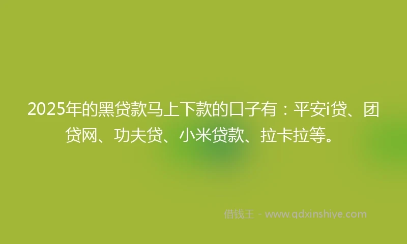 2025年的黑贷款马上下款的口子有：平安i贷、团贷网、功夫贷、小米贷款、拉卡拉等。