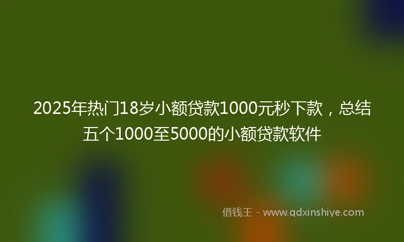 2025年热门18岁小额贷款1000元秒下款，总结五个1000至5000的小额贷款软件