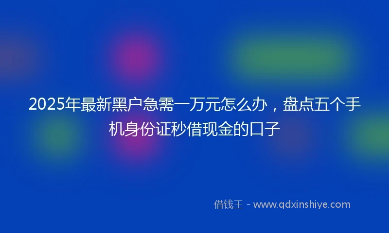 2025年最新黑户急需一万元怎么办,盘点五个手机身份证秒借现金的口子