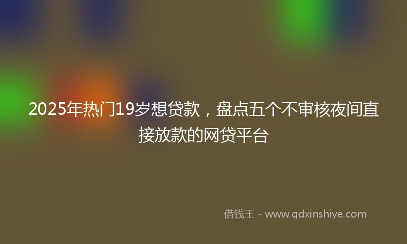 2025年热门19岁想贷款，盘点五个不审核夜间直接放款的网贷平台