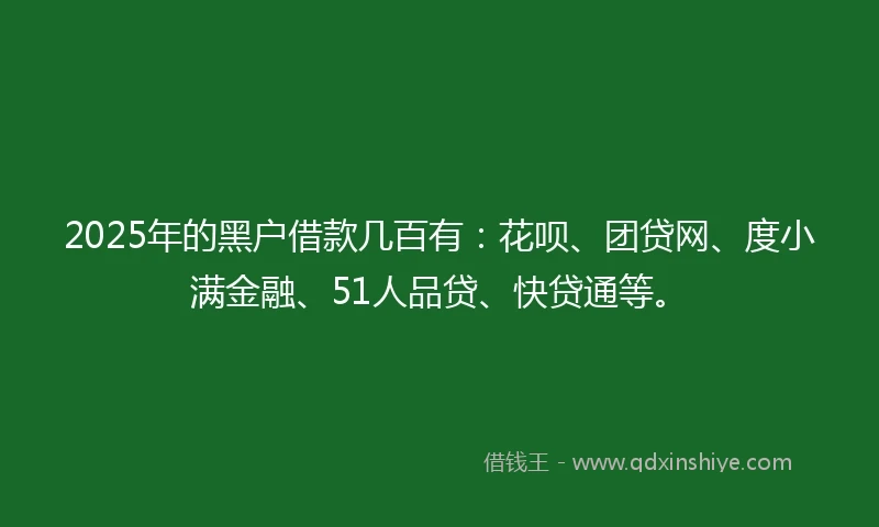 2025年的黑户借款几百有：花呗、团贷网、度小满金融、51人品贷、快贷通等。