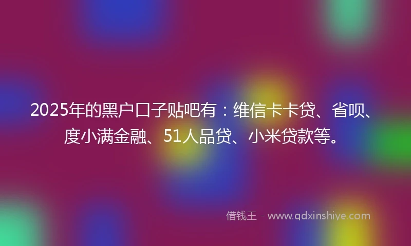 2025年的黑户口子贴吧有：维信卡卡贷、省呗、度小满金融、51人品贷、小米贷款等。