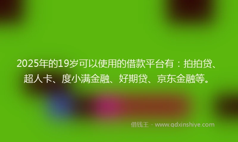 2025年的19岁可以使用的借款平台有：拍拍贷、超人卡、度小满金融、好期贷、京东金融等。