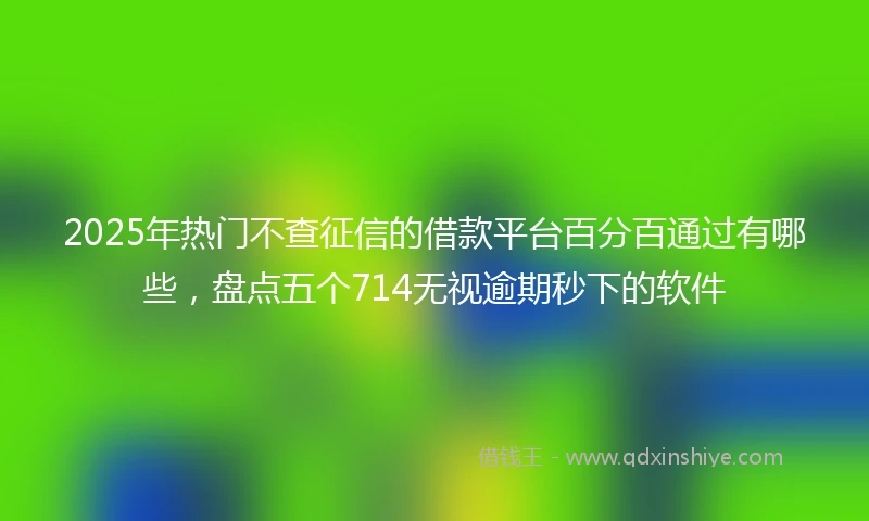 2025年热门不查征信的借款平台百分百通过有哪些,盘点五个714无视逾期秒下的软件