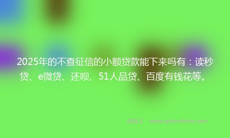 2025年的不查征信的小额贷款能下来吗有：读秒贷、e微贷、还呗、51人品贷、百度有钱花等。