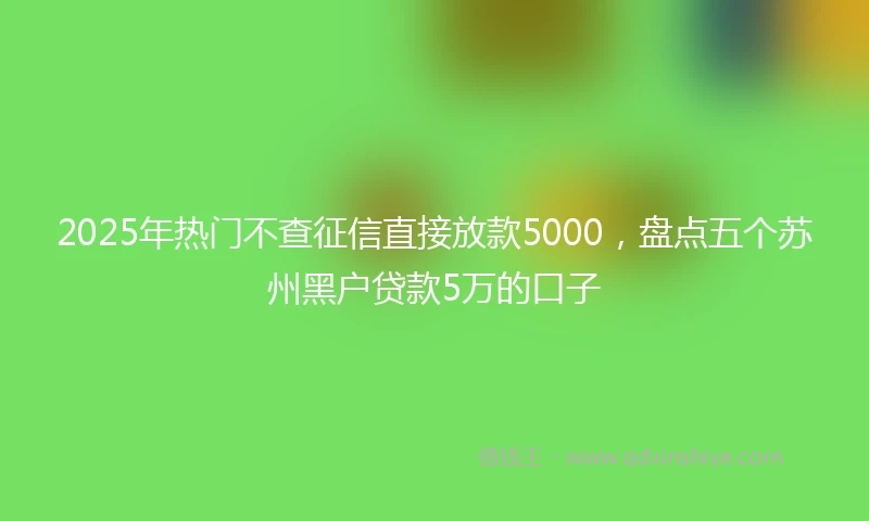 2025年热门不查征信直接放款5000，盘点五个苏州黑户贷款5万的口子