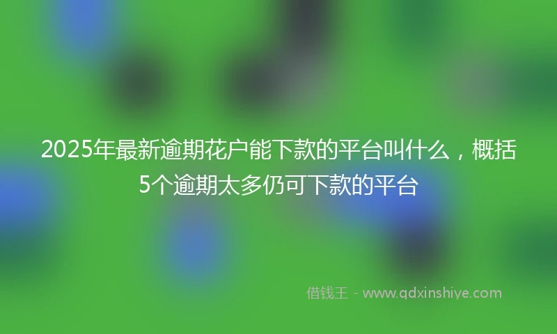 2025年最新逾期花户能下款的平台叫什么，概括5个逾期太多仍可下款的平台