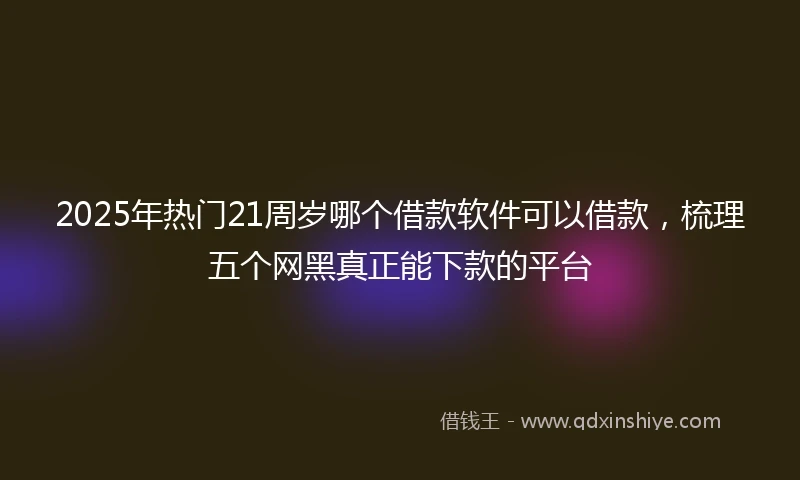 2025年热门21周岁哪个借款软件可以借款，梳理五个网黑真正能下款的平台