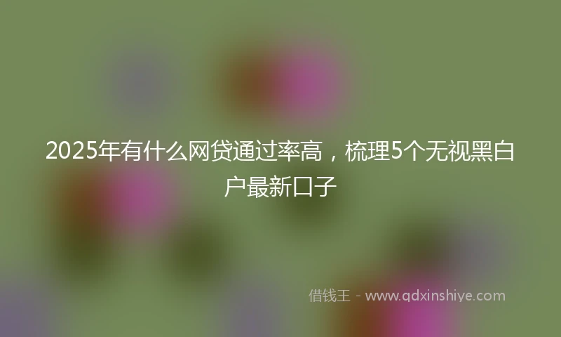 2025年有什么网贷通过率高，梳理5个无视黑白户最新口子