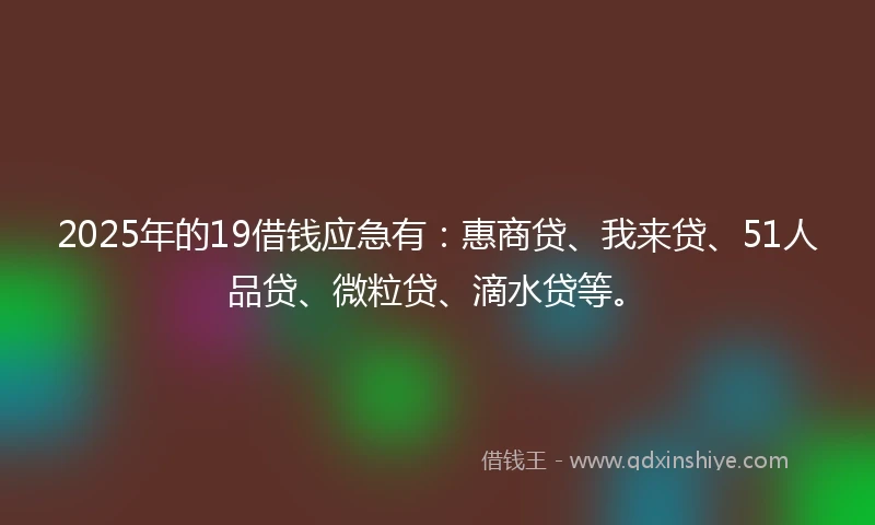 2025年的19借钱应急有：惠商贷、我来贷、51人品贷、微粒贷、滴水贷等。