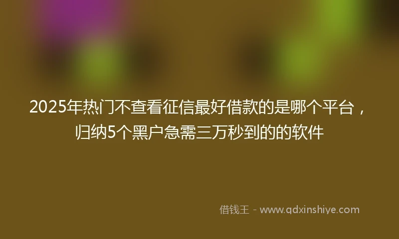 2025年热门不查看征信最好借款的是哪个平台，归纳5个黑户急需三万秒到的的软件
