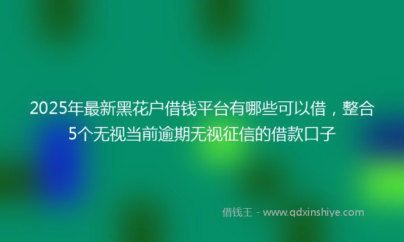 2025年最新黑花户借钱平台有哪些可以借，整合5个无视当前逾期无视征信的借款口子