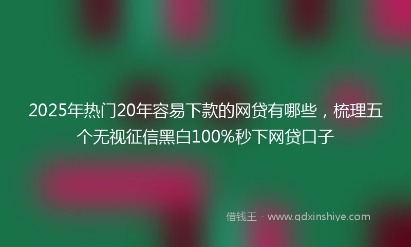 2025年热门20年容易下款的网贷有哪些,梳理五个无视征信黑白100%秒下网贷口子