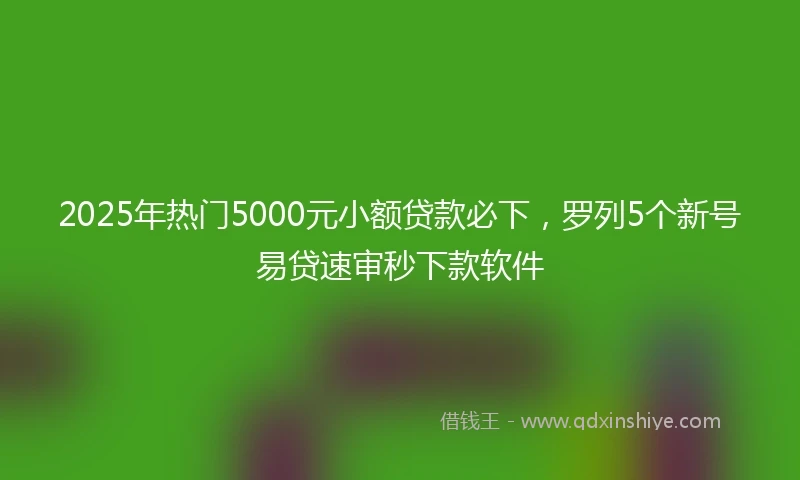 2025年热门5000元小额贷款必下，罗列5个新号易贷速审秒下款软件