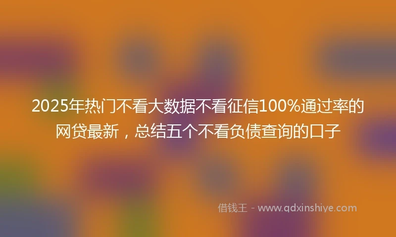 2025年热门不看大数据不看征信100%通过率的网贷最新，总结五个不看负债查询的口子