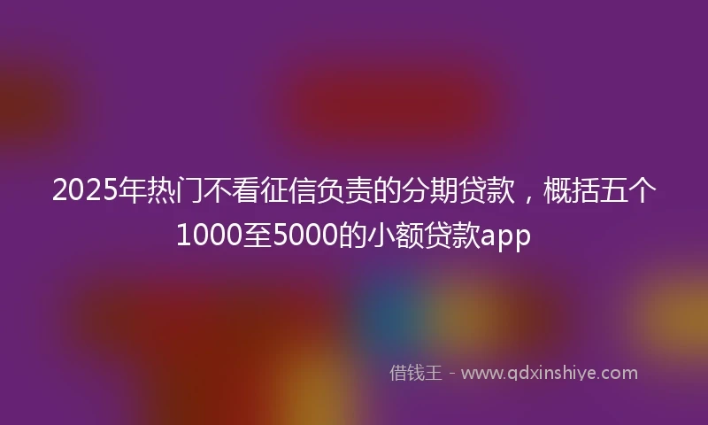 2025年热门不看征信负责的分期贷款，概括五个1000至5000的小额贷款app