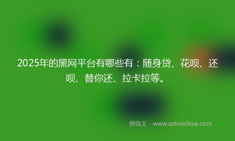 2025年的黑网平台有哪些有：随身贷、花呗、还呗、替你还、拉卡拉等。