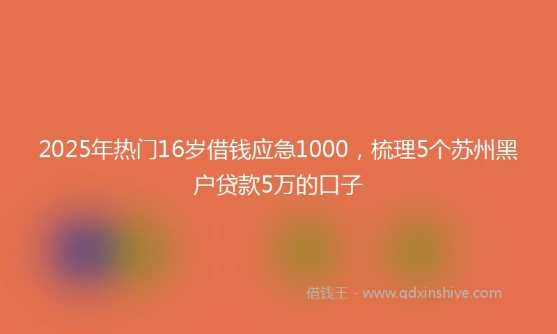 2025年热门16岁借钱应急1000，梳理5个苏州黑户贷款5万的口子
