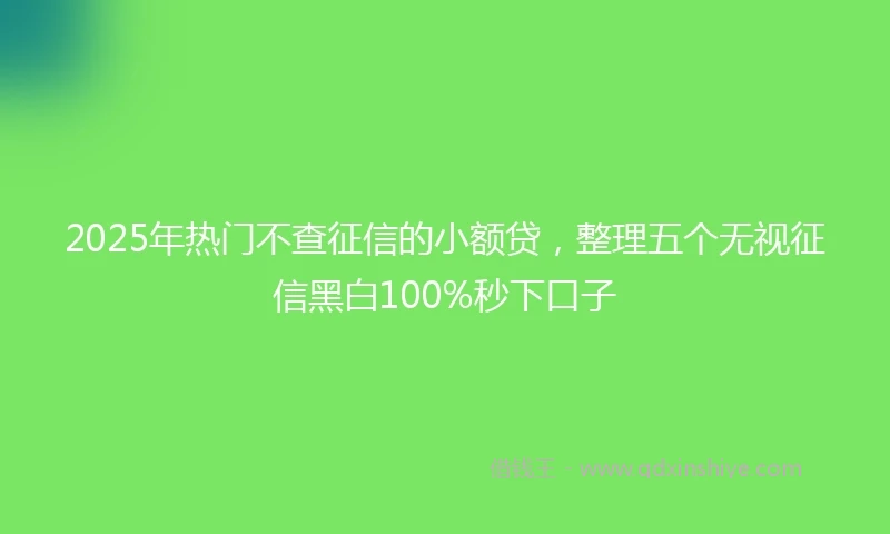 2025年热门不查征信的小额贷，整理五个无视征信黑白100%秒下口子