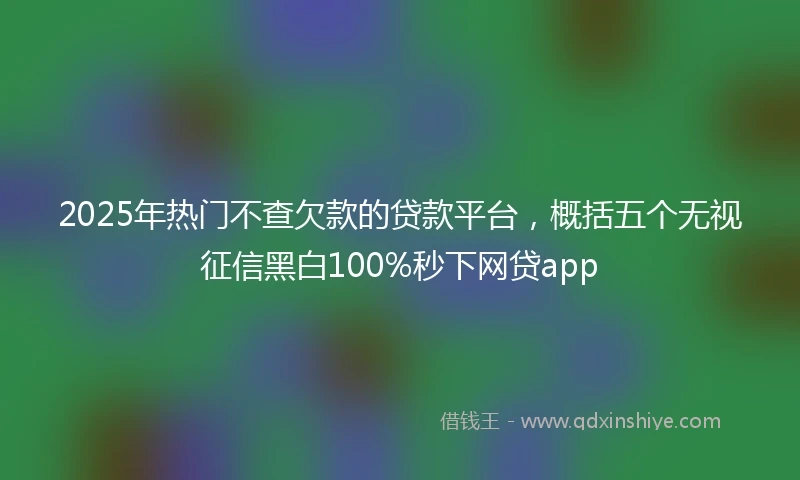 2025年热门不查欠款的贷款平台，概括五个无视征信黑白100%秒下网贷app