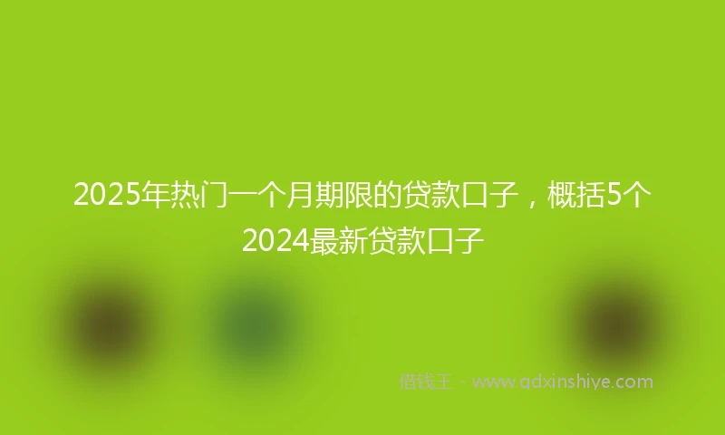 2025年热门一个月期限的贷款口子,概括5个2024最新贷款口子