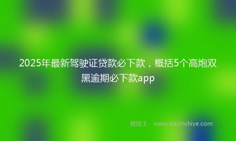 2025年最新驾驶证贷款必下款，概括5个高炮双黑逾期必下款app
