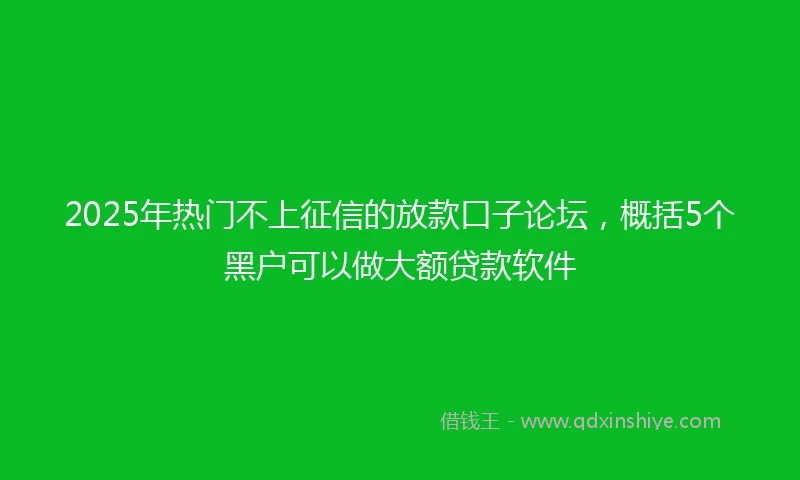 2025年热门不上征信的放款口子论坛，概括5个黑户可以做大额贷款软件
