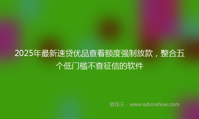 2025年最新速贷优品查看额度强制放款，整合五个低门槛不查征信的软件