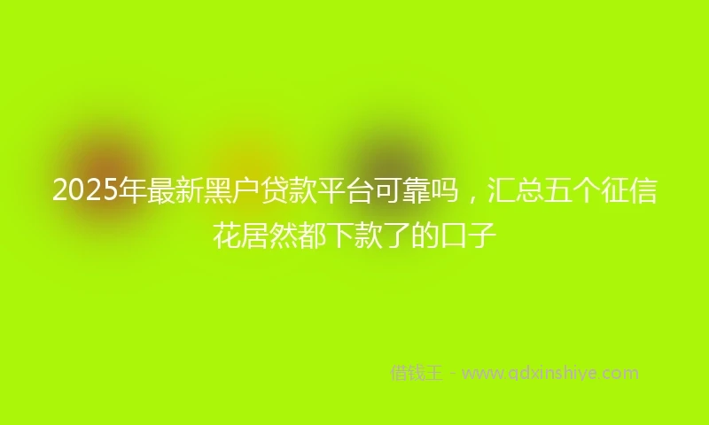 2025年最新黑户贷款平台可靠吗，汇总五个征信花居然都下款了的口子