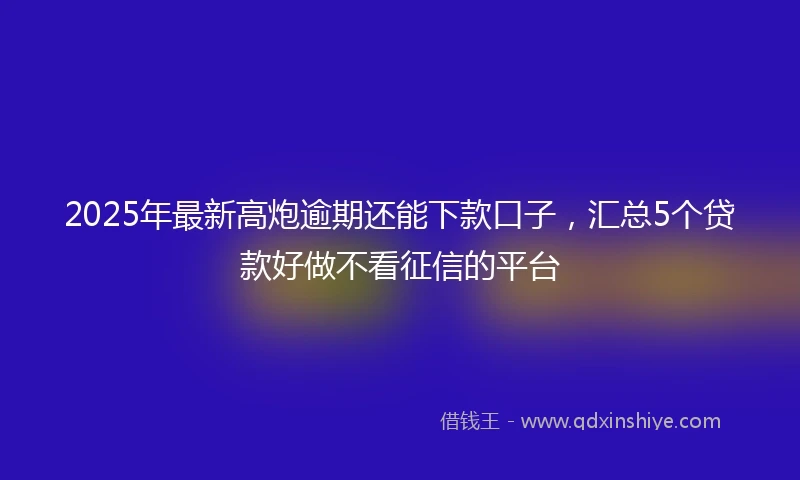 2025年最新高炮逾期还能下款口子，汇总5个贷款好做不看征信的平台