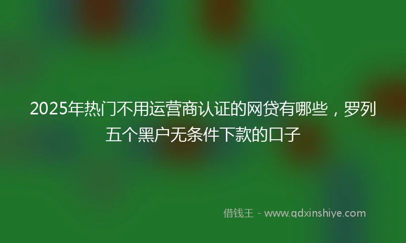 2025年热门不用运营商认证的网贷有哪些，罗列五个黑户无条件下款的口子