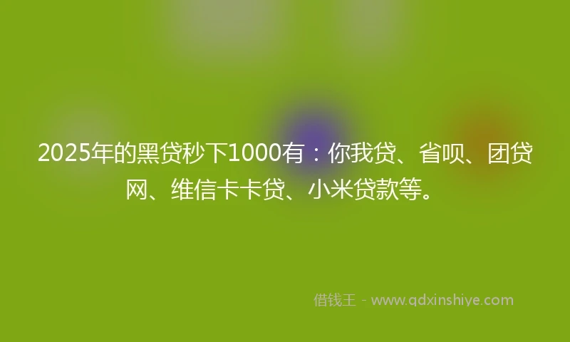 2025年的黑贷秒下1000有：你我贷、省呗、团贷网、维信卡卡贷、小米贷款等。