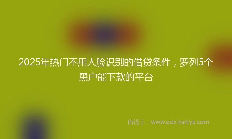 2025年热门不用人脸识别的借贷条件，罗列5个黑户能下款的平台